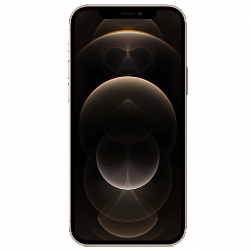 گوشی موبایل اپل مدل iPhone 12 Pro