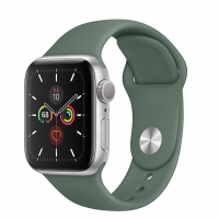 ساعت هوشمند اپل واچ سری 5 مدل 40mm Silver Aluminum Case With green Sport Band