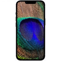 گوشی موبایل اپل مدل iPhone 13 Pro تک سیم‌ کارت ظرفیت 256 گیگابایت و 6 گیگابایت رم