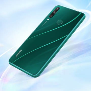 y6p