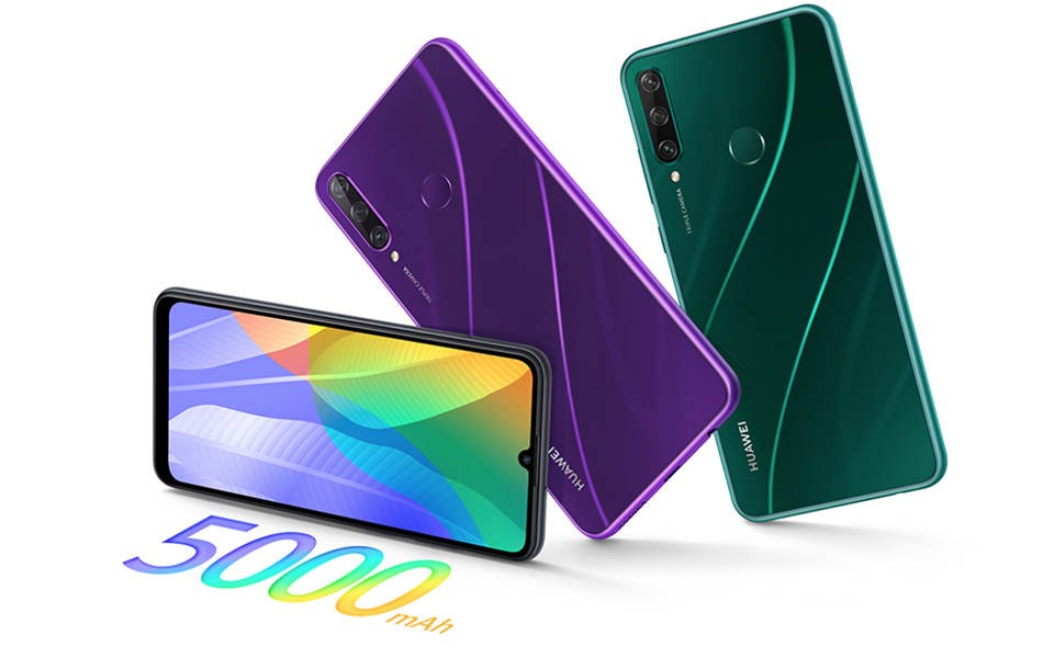 y6p